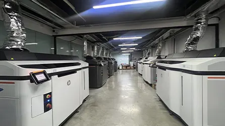 3D Printing Selective Laser Sintering